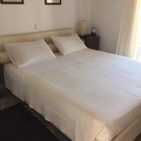 Luxurious Traditional