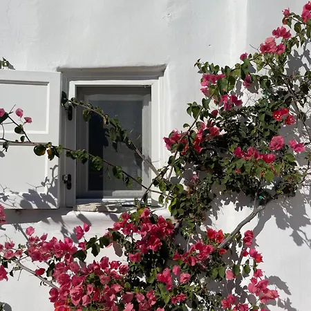 Luxurious Traditional Villa *